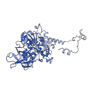 4843_6re6_Y_v1-2
Cryo-EM structure of Polytomella F-ATP synthase, Rotary substate 2C, monomer-masked refinement