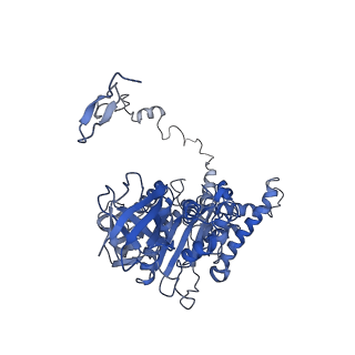 4843_6re6_Z_v1-2
Cryo-EM structure of Polytomella F-ATP synthase, Rotary substate 2C, monomer-masked refinement