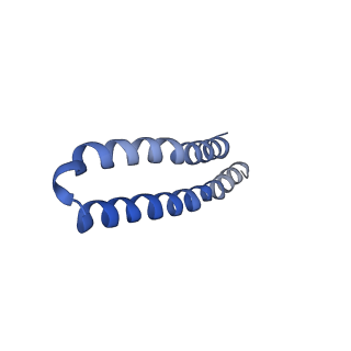 4844_6re7_A_v1-2
Cryo-EM structure of Polytomella F-ATP synthase, Rotary substate 2C, focussed refinement of F1 head and rotor