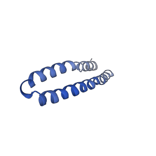 4844_6re7_B_v1-2
Cryo-EM structure of Polytomella F-ATP synthase, Rotary substate 2C, focussed refinement of F1 head and rotor