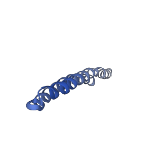 4844_6re7_D_v1-2
Cryo-EM structure of Polytomella F-ATP synthase, Rotary substate 2C, focussed refinement of F1 head and rotor