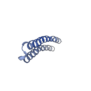 4844_6re7_E_v1-2
Cryo-EM structure of Polytomella F-ATP synthase, Rotary substate 2C, focussed refinement of F1 head and rotor