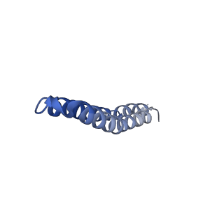 4844_6re7_H_v1-2
Cryo-EM structure of Polytomella F-ATP synthase, Rotary substate 2C, focussed refinement of F1 head and rotor