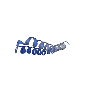4844_6re7_I_v1-2
Cryo-EM structure of Polytomella F-ATP synthase, Rotary substate 2C, focussed refinement of F1 head and rotor