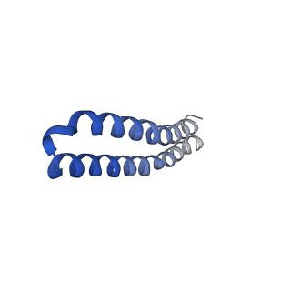 4844_6re7_J_v1-2
Cryo-EM structure of Polytomella F-ATP synthase, Rotary substate 2C, focussed refinement of F1 head and rotor