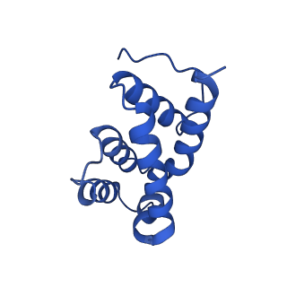 4844_6re7_P_v1-2
Cryo-EM structure of Polytomella F-ATP synthase, Rotary substate 2C, focussed refinement of F1 head and rotor