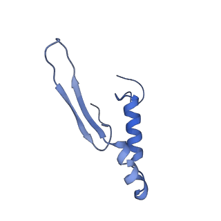 4844_6re7_Q_v1-2
Cryo-EM structure of Polytomella F-ATP synthase, Rotary substate 2C, focussed refinement of F1 head and rotor