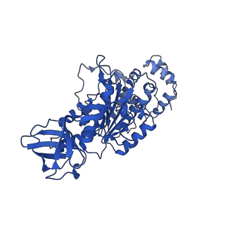 4844_6re7_T_v1-2
Cryo-EM structure of Polytomella F-ATP synthase, Rotary substate 2C, focussed refinement of F1 head and rotor