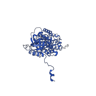 4844_6re7_V_v1-2
Cryo-EM structure of Polytomella F-ATP synthase, Rotary substate 2C, focussed refinement of F1 head and rotor