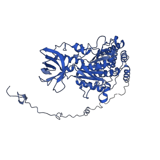 4844_6re7_X_v1-2
Cryo-EM structure of Polytomella F-ATP synthase, Rotary substate 2C, focussed refinement of F1 head and rotor