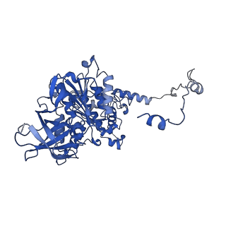4844_6re7_Y_v1-2
Cryo-EM structure of Polytomella F-ATP synthase, Rotary substate 2C, focussed refinement of F1 head and rotor