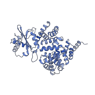 4845_6re8_2_v1-2
Cryo-EM structure of Polytomella F-ATP synthase, Rotary substate 2D, composite map