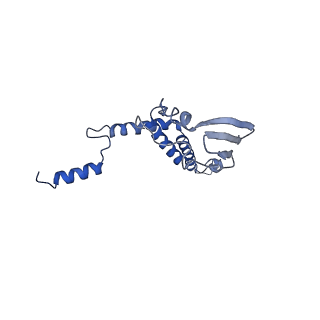 4845_6re8_7_v1-2
Cryo-EM structure of Polytomella F-ATP synthase, Rotary substate 2D, composite map