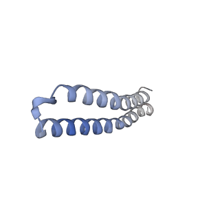 4845_6re8_J_v1-2
Cryo-EM structure of Polytomella F-ATP synthase, Rotary substate 2D, composite map