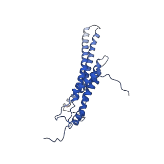 4845_6re8_M_v1-2
Cryo-EM structure of Polytomella F-ATP synthase, Rotary substate 2D, composite map