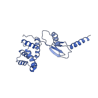 4845_6re8_P_v1-2
Cryo-EM structure of Polytomella F-ATP synthase, Rotary substate 2D, composite map