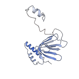 4845_6re8_R_v1-2
Cryo-EM structure of Polytomella F-ATP synthase, Rotary substate 2D, composite map