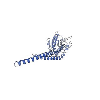 4845_6re8_S_v1-2
Cryo-EM structure of Polytomella F-ATP synthase, Rotary substate 2D, composite map