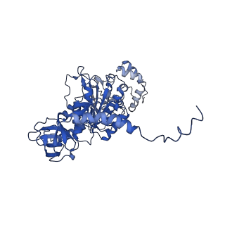 4845_6re8_T_v1-2
Cryo-EM structure of Polytomella F-ATP synthase, Rotary substate 2D, composite map