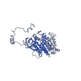 4845_6re8_U_v1-2
Cryo-EM structure of Polytomella F-ATP synthase, Rotary substate 2D, composite map