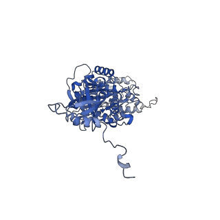 4845_6re8_V_v1-2
Cryo-EM structure of Polytomella F-ATP synthase, Rotary substate 2D, composite map