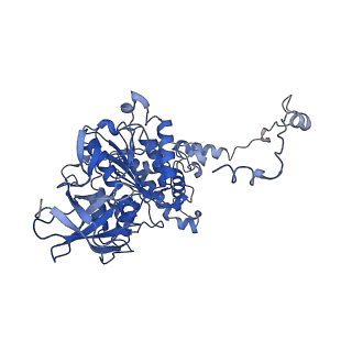 4845_6re8_Y_v1-2
Cryo-EM structure of Polytomella F-ATP synthase, Rotary substate 2D, composite map