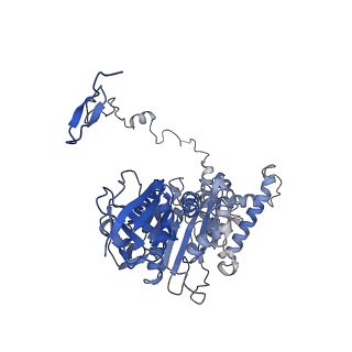 4845_6re8_Z_v1-2
Cryo-EM structure of Polytomella F-ATP synthase, Rotary substate 2D, composite map