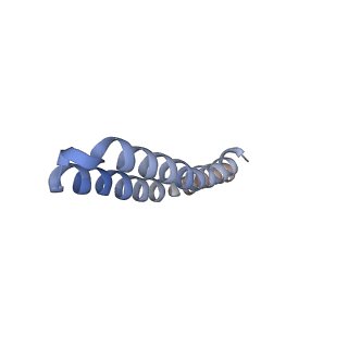 4847_6rea_I_v1-2
Cryo-EM structure of Polytomella F-ATP synthase, Rotary substate 2D, focussed refinement of F1 head and rotor
