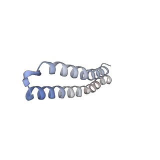 4847_6rea_J_v1-2
Cryo-EM structure of Polytomella F-ATP synthase, Rotary substate 2D, focussed refinement of F1 head and rotor
