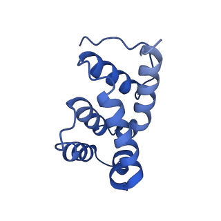 4847_6rea_P_v1-2
Cryo-EM structure of Polytomella F-ATP synthase, Rotary substate 2D, focussed refinement of F1 head and rotor
