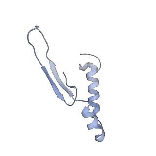 4847_6rea_Q_v1-2
Cryo-EM structure of Polytomella F-ATP synthase, Rotary substate 2D, focussed refinement of F1 head and rotor