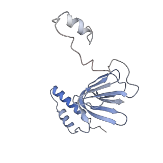 4847_6rea_R_v1-2
Cryo-EM structure of Polytomella F-ATP synthase, Rotary substate 2D, focussed refinement of F1 head and rotor