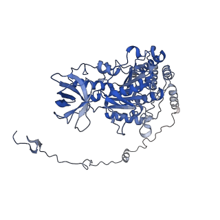 4847_6rea_X_v1-2
Cryo-EM structure of Polytomella F-ATP synthase, Rotary substate 2D, focussed refinement of F1 head and rotor