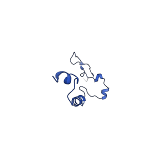 4848_6reb_0_v1-2
Cryo-EM structure of Polytomella F-ATP synthase, Rotary substate 3A, composite map