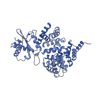 4848_6reb_2_v1-2
Cryo-EM structure of Polytomella F-ATP synthase, Rotary substate 3A, composite map