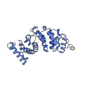 4848_6reb_3_v1-2
Cryo-EM structure of Polytomella F-ATP synthase, Rotary substate 3A, composite map
