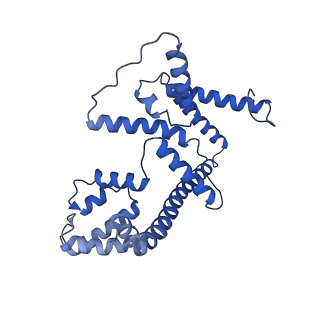 4848_6reb_4_v1-2
Cryo-EM structure of Polytomella F-ATP synthase, Rotary substate 3A, composite map