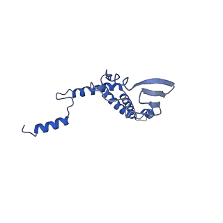 4848_6reb_7_v1-2
Cryo-EM structure of Polytomella F-ATP synthase, Rotary substate 3A, composite map