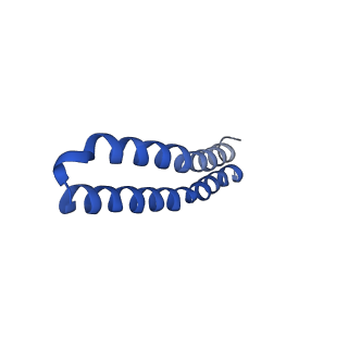 4848_6reb_G_v1-2
Cryo-EM structure of Polytomella F-ATP synthase, Rotary substate 3A, composite map