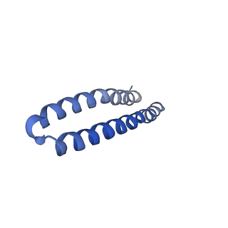4848_6reb_I_v1-2
Cryo-EM structure of Polytomella F-ATP synthase, Rotary substate 3A, composite map