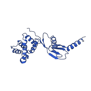 4848_6reb_P_v1-2
Cryo-EM structure of Polytomella F-ATP synthase, Rotary substate 3A, composite map