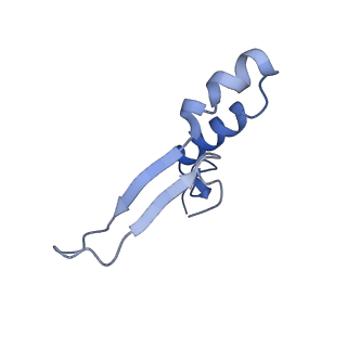 4848_6reb_Q_v1-2
Cryo-EM structure of Polytomella F-ATP synthase, Rotary substate 3A, composite map