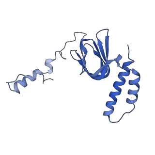 4848_6reb_R_v1-2
Cryo-EM structure of Polytomella F-ATP synthase, Rotary substate 3A, composite map