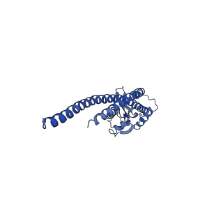 4848_6reb_S_v1-2
Cryo-EM structure of Polytomella F-ATP synthase, Rotary substate 3A, composite map