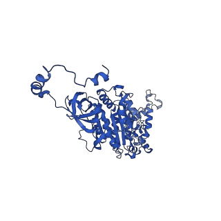 4848_6reb_U_v1-2
Cryo-EM structure of Polytomella F-ATP synthase, Rotary substate 3A, composite map