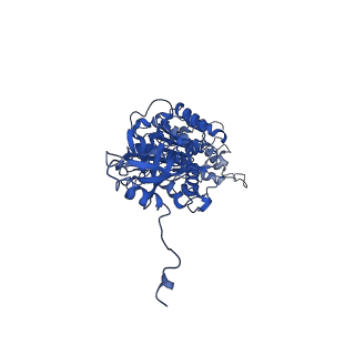 4848_6reb_V_v1-2
Cryo-EM structure of Polytomella F-ATP synthase, Rotary substate 3A, composite map