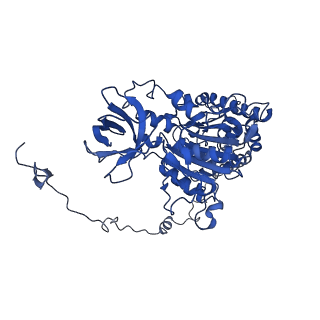 4848_6reb_X_v1-2
Cryo-EM structure of Polytomella F-ATP synthase, Rotary substate 3A, composite map