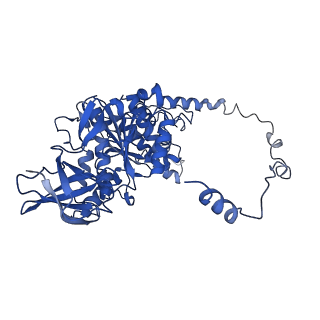 4848_6reb_Y_v1-2
Cryo-EM structure of Polytomella F-ATP synthase, Rotary substate 3A, composite map