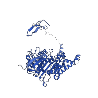4848_6reb_Z_v1-2
Cryo-EM structure of Polytomella F-ATP synthase, Rotary substate 3A, composite map