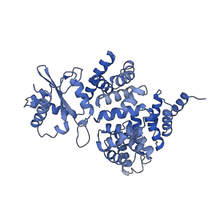 4849_6rec_2_v1-2
Cryo-EM structure of Polytomella F-ATP synthase, Rotary substate 3A, monomer-masked refinement
